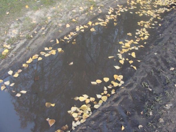 Czasami warto przystanac