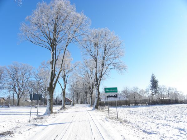 zdjecie Skandawa