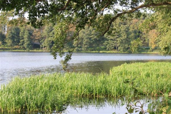 J. Trzesiecko / Szczecinek