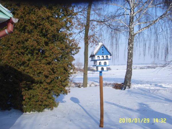 Ptasia  WILLA w szac ie zimowej w Zrebcach foto. Seweryn