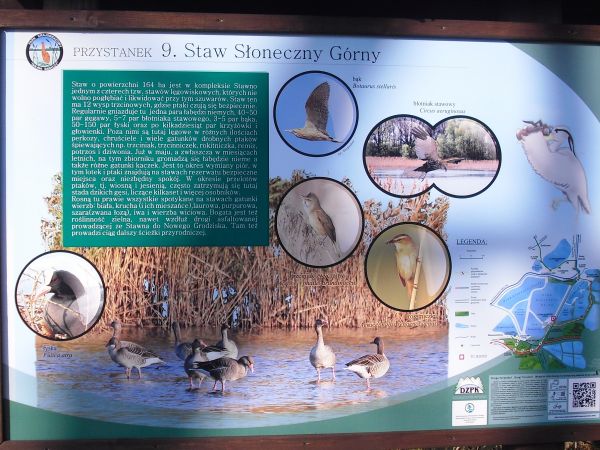 Ruda Milicka - Staw Słoneczny Górny