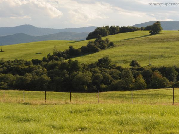 Łąki - okolice Blehnarki.