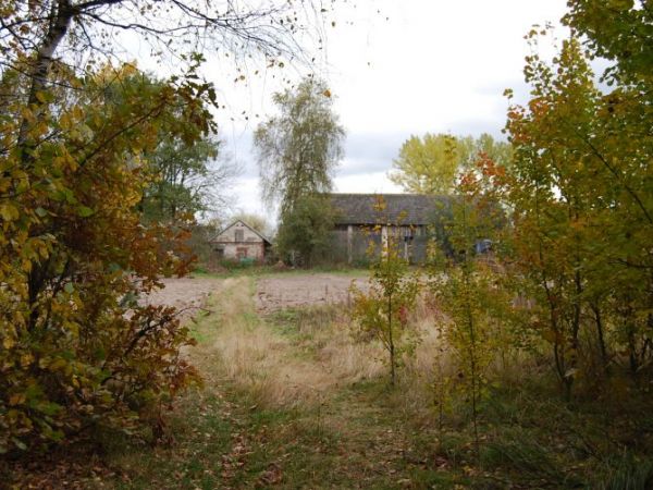 Okolice Nowego Korczyna - Harmoniny