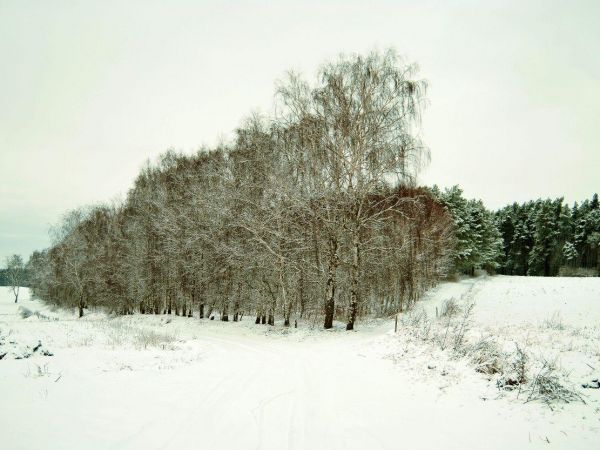 Droga z Andrzejewa do Waplewka zimą.