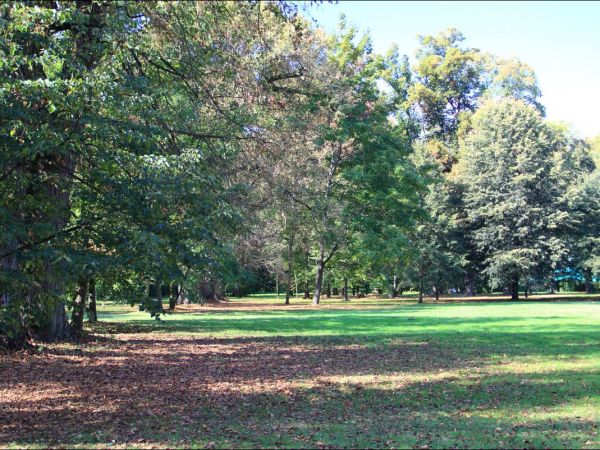 Zespół pałacowo - parkowy Czartoryskich .