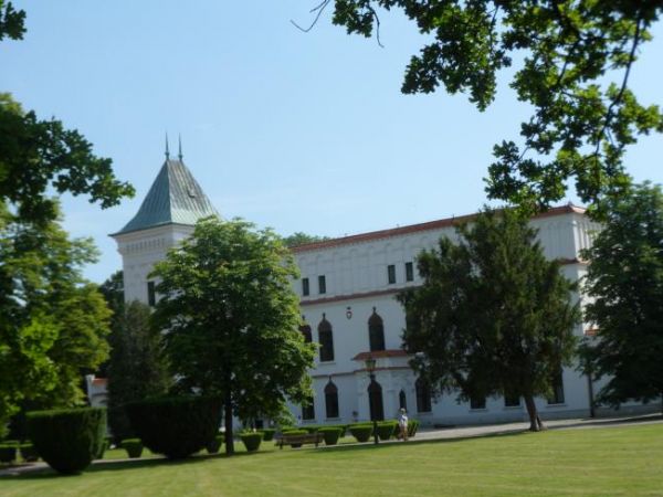 we wnętrzach zamkowych prowadzone są prace przy ich rekonstrukcji - pałac i sam Przecław powrócił na mapę kulturalną Polski.
