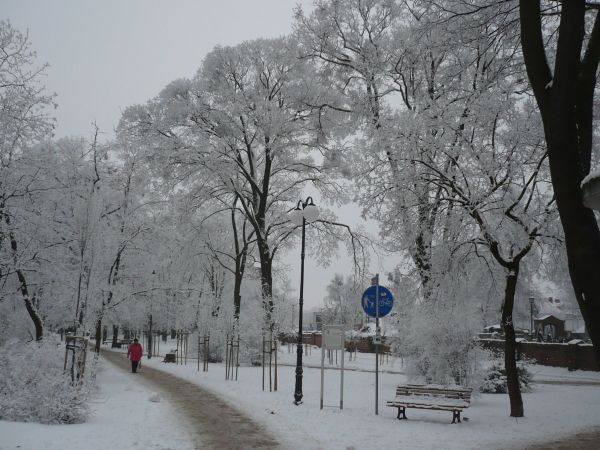 Park   przy  ZUS  zimą