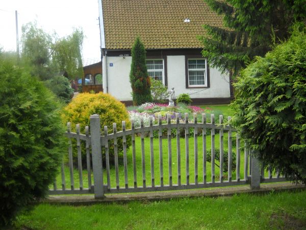 Ogród w gospodarstwiep. Redkiewicz