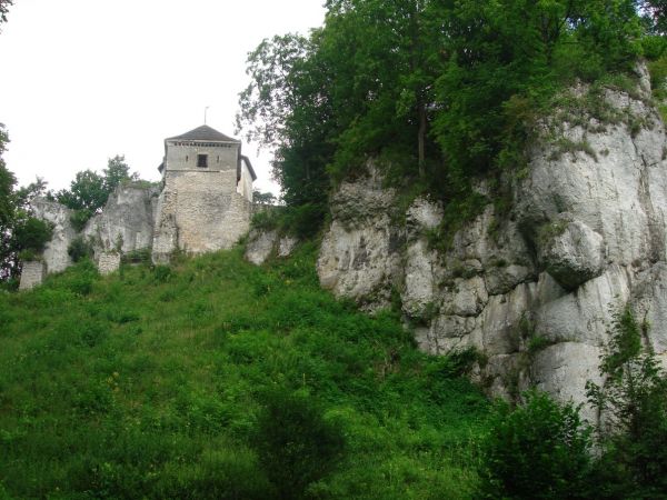 Zamek w Ojcowie, położony na terenie Ojcowskiego Parku Narodowego, w centrum Ojcowa, był zamkiem warownym wzniesionym przez Kazimierza Wielkiego w II połowie XI
