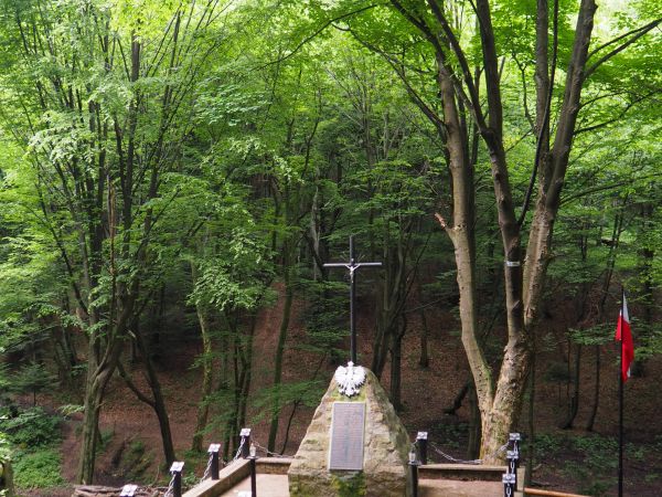 w dolinie potoku jest pomnik, upamiętnia miejsce martyrologii - tu hitlerowcy rozstrzelali 72 mężczyzn z jasielskiego więzienia, było to 24 lipca 1944r. o  godz