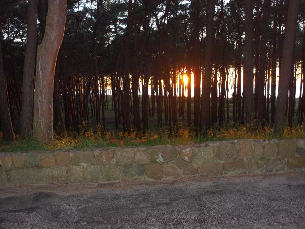 Zejście na plażę.