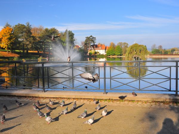 zdjecie Kudowa-Zdrój