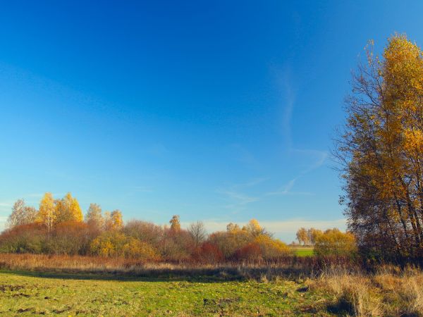 zdjecie Tyniewicze Duże