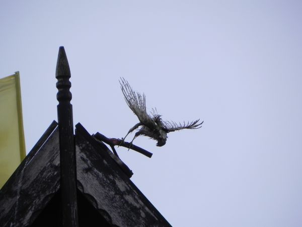 Park miniatur - luty 2012