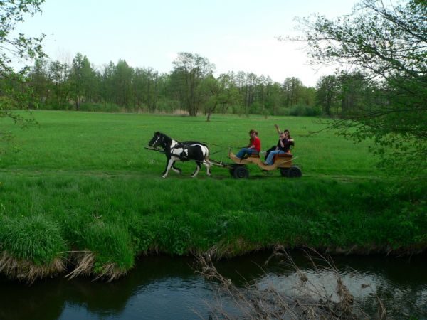 Jazda bryczką po malowniczych terenach Krężnicy Jarej