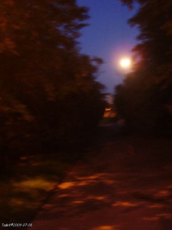 Niedzielny spacer kończę w alejce pod księżycem.
Do komentarzy krytycznych: starszy pan"robi z ręki" lekko drżącej i cyfrakiem "z dolnej półki". OK.