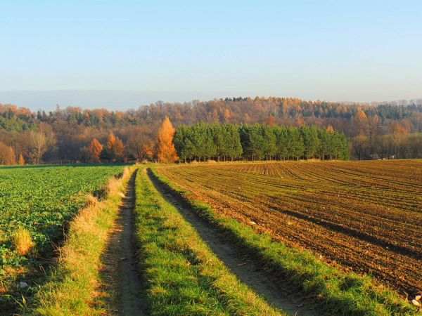 JARNOŁTÓW jesień 2014