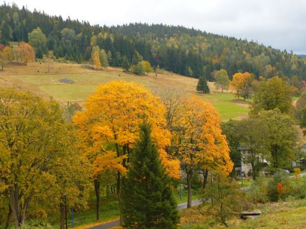 Jesień w dolinie Morawki