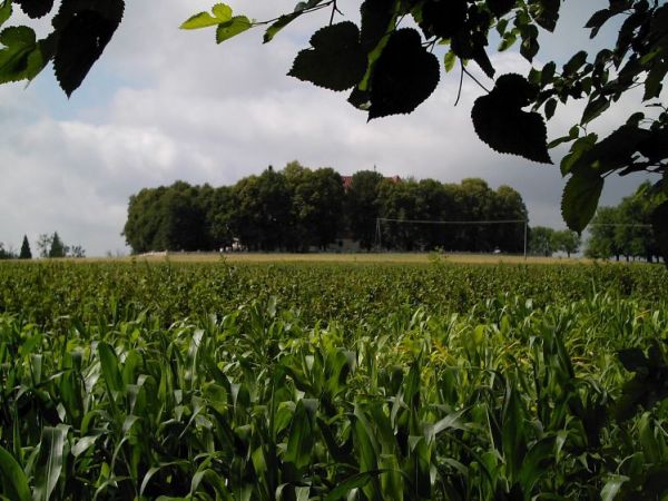 zdjecie Orłów Murowany