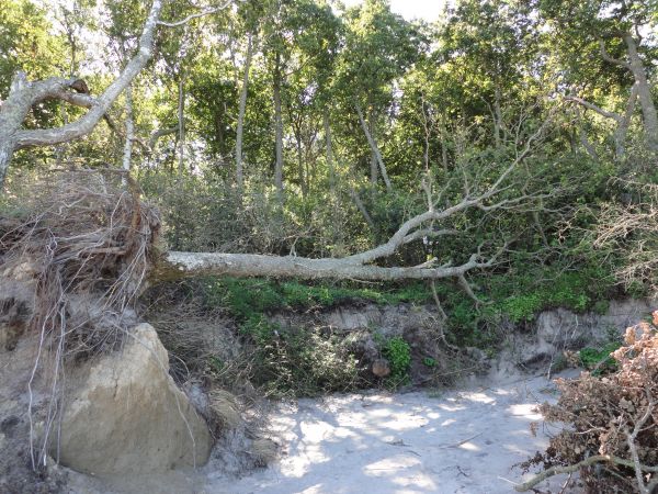 zdjecie Ustronie Morskie