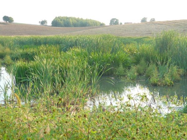 zdjecie Kiersztanówko