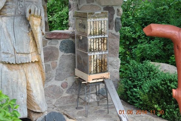 Ul szklany zbudowany w tym roku i zasiedlony korpus ramki wielk.inadstawki wlp o wys. 20cm