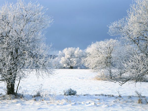 Zima w Pasterce w górach Stołowych. Malutka, malownicza wioska u samego podnóża Szczelińca Wielkiego jest unikalną już oazą ciszy i spokoju zadziwiając przy tym