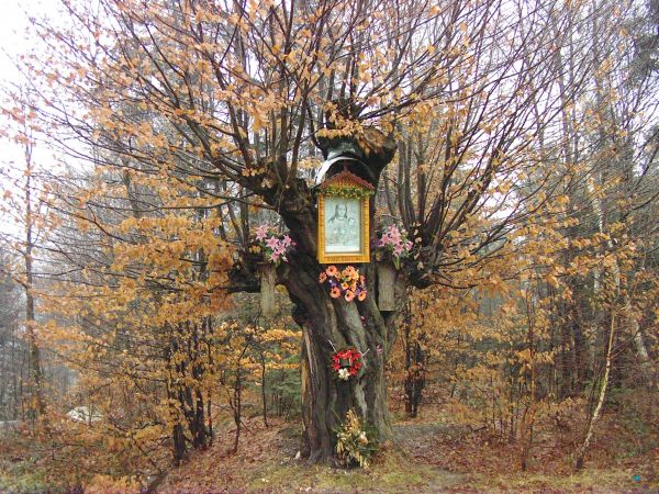 Jesienna Kapliczka