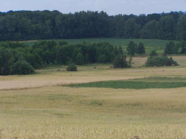 Widok z fortów na pola