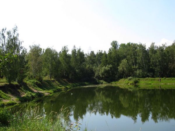 zdjecie Pietrzykowice