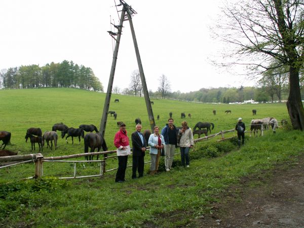 Stadnina w Książu.