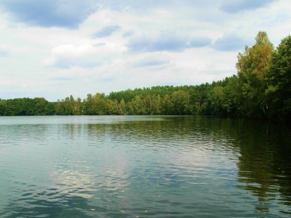 Jezioro koło Lipusza.