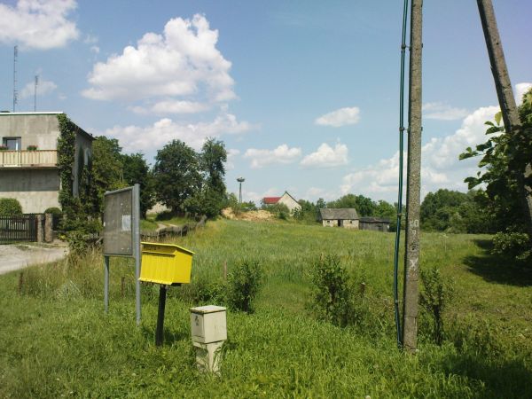 Widok na bocianie gniazdo.