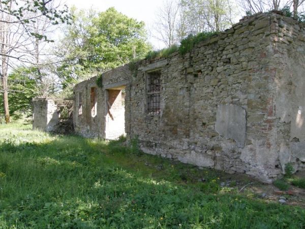 Ruiny cerkwi w Płonnej