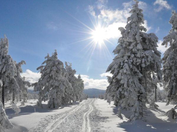 zdjecie Świeradów-Zdrój