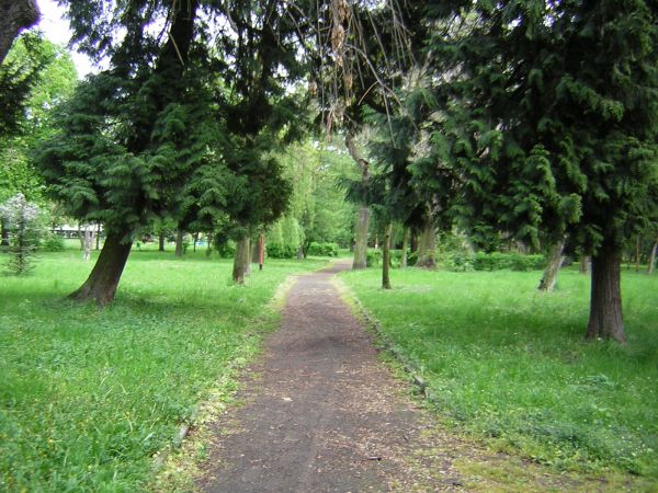 zdjecie Sulechów