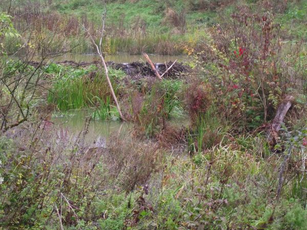 "a to ci inżyniery" ! - jak to potrafią...