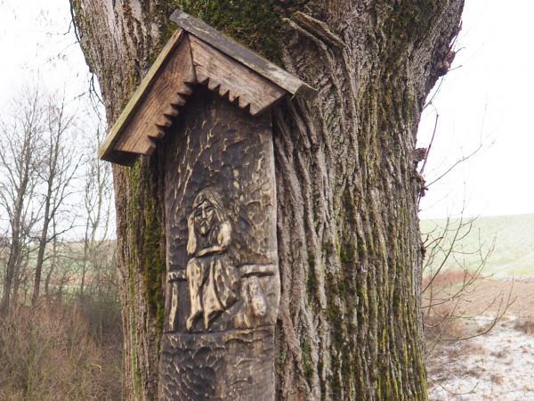 kapliczka z wizerunkiem Chrystusa Frasobliwego, nakryta daszkiem, na drzewie oznaczenia szlaków turystycznych. Przy temacie : zapraszam do galerii : Lalin, Cisn