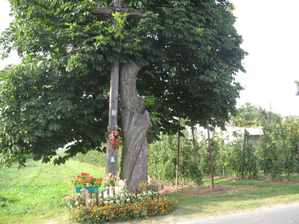 Krzyż przydrożny z 1901 r.