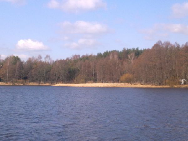 Juz żadnych oznak zimy nad jeziorem w Szczekarzewie