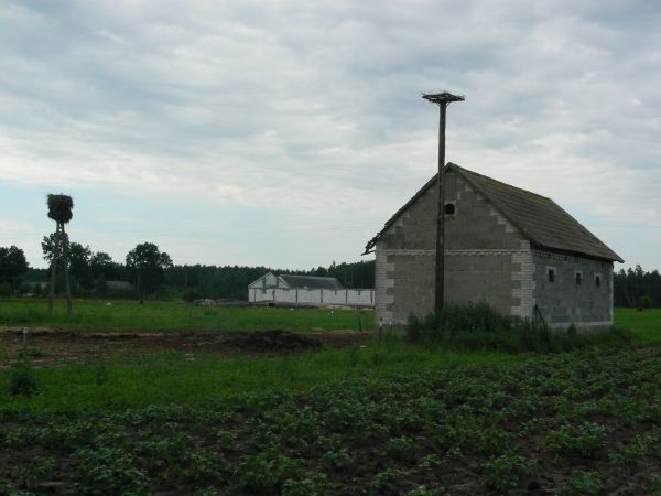 Widok na budowe.......