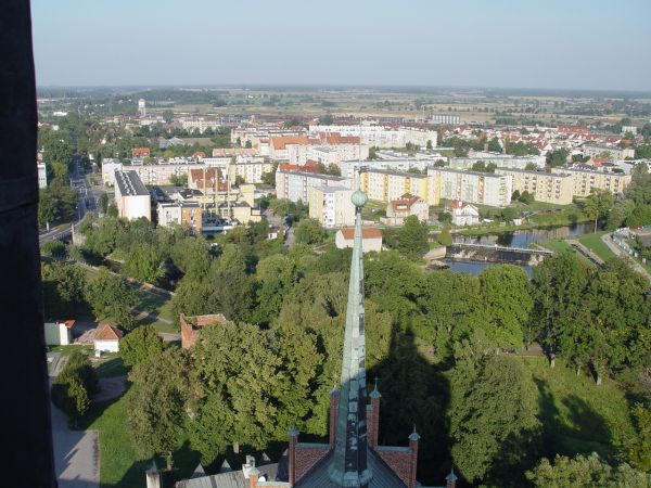 Widok Braniewa z katedry