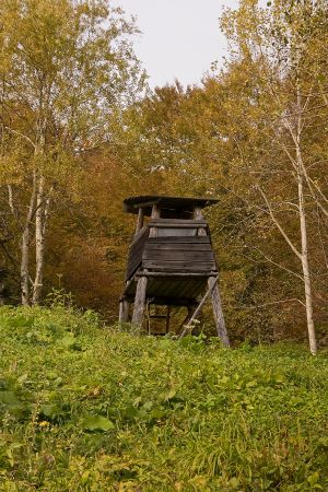 Myśliwska ambona-Rytro/Życzanów