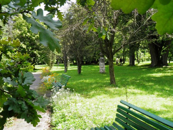 Park wokół pałacu Ponińskich - fragment.