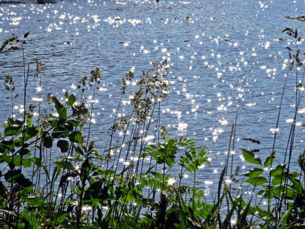 Promyki słońca odbite w jeziorze Wzydze