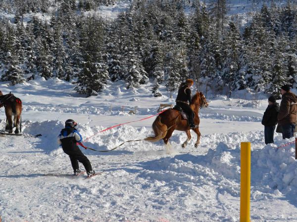 Karnawał Furmański jest to jedna z cyklicznych imprez odbywająca się 11 lutego każdego roku w gminie Ujsoły. Lokalni furmani mają okazje na niej prezentacji swo
