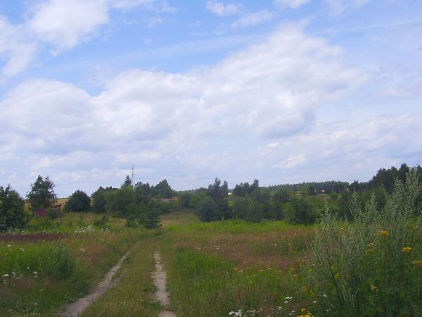 Przy końcu ulicy widok rozległy w kierunku szosy do Kliczkowa i linii kolejowej - na horyzoncie wzgórze zwane Górą Szubieniczną od kiedyś szubienicy a teraz słu