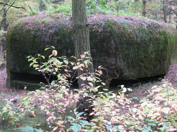 Schron nr 11. Fortyfikacje PRZEDMOŚCIE BYDGOSZCZ. W schronie tym znajdowało się dowództwo odcinka obrony. Widok schronu od strony szczelin obserwacyjnych.