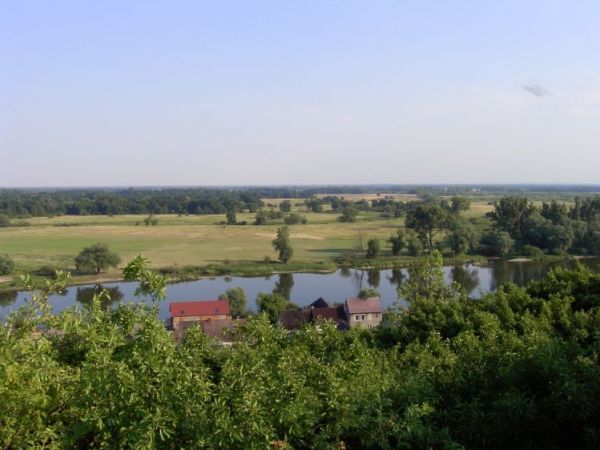 Widok na dolinę Warty