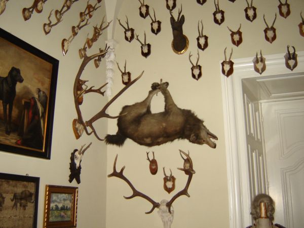 Pałac - trofea
fot. Stanisław Ponikierski